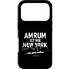 2026 Insel Amrum Souvenirs Custodia per iPhone 17 Pro Amrum è come New York frase divertente