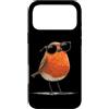 Robin Bird Outfit Custodia per iPhone 17 Pro Max Carino Robin Bird Occhiali Da Sole Costume