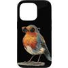 Robin Bird Outfit Custodia per iPhone 13 Pro Pettirosso con gli occhiali con piuma e occhiali da sole