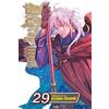 Viz Media D.gray-man 29: Volume 29