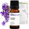 Aroma Labs Lavanda Vera BIO (Lavandula officinalis) - 10 mL - Olio Essenziale Chemiotipizzato e Certificato AB - Distensione & Rilassamento - Aroma Labs - Made in France