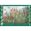 COBBLE HILL Puzzle Colibrì del Nord America 2000 pezzi