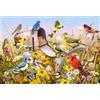 COBBLE HILL Puzzle Field Song 2000 Teile