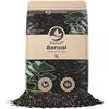 Sybotanica - Terricio per Bonsai 5 L - Substrato di cocco premium per bonsai - Senza torba - Concime organico 180 giorni - Ideale per appassionati