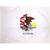 AZ FLAG Bandiera Illinois 45x30 cm - Bandierina Stato Americano - Usa - Stati Uniti 30x45 cm Cordicelle