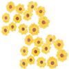 Lurrose 24 Pezzi Fiori Secchi Pressati Margherita Gialli Naturali per Accessori DIY, Mantengono la Forma Originale, per Nail Art e Segnalibri Fatti a Mano