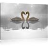 Pixxprint cigni Amore sul Lago Stampa su Tela 60x40 cm Artistica murale