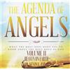 Dr Kevin L Zadai The Agenda Of Angels, Vol. 11: Heaven On Earth (CD)