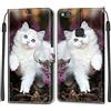 Feyten Cover per Huawei P10 Lite, Custodia in Pelle Huawei P10 Lite, Flip Custodia Pelle PU con [Magnetica][TPU Antiurto][Supporto Stand], Cover a Libro Portafoglio per Huawei P10 Lite (Gatto 2)