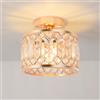 ANWIO Lampadari Cristallo Oro, Lampada Cameretta con 1 Luci, Plafoniera Bagno Soffitto Moderni E27, Plafoniera in Cristallo con Paralume in Vetro Per Cucina, Camera Piccola, 20.5CM (Senza Lampadine)