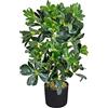 Decovego Schefflera Arboricola Pianta Albero Artificiale Plastica 60 cm Abitacolo