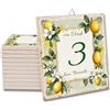 L'Arcobaleno di Luci MATTONELLA in ceramica NUMERO CIVICO PERSONALIZZATO piastrella cucina bagno camera stanze della casa Limoni da appendere o siliconare