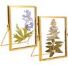 WANDGU Cornice portafoto in oro su entrambi i lati: 2 pezzi 15 x 20 cm cornice in vetro per fiori pressati, in ottone da scrivania per appendere fiori secchi