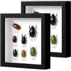 OUTALIZ Set di 2 Cornice Portafoto 3D, Cornice Profonda da Riempire 20 x 20 cm, con Lastra Acrilica Trasparente, Cornici per Oggetti Più Profonda di 3 cm, Cornici 3D in Legno, per Regalo di Nozze, Nero