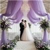 Pmnzdy Tessuto in tulle, 600 x 160 cm, morbido tessuto in organza, per sedie, per matrimoni, feste, banchetti, eventi