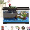 Generico Acquario Principianti Kit Completo Con Coperchio, 37.6x21x21cm Vetro Trasparente - 6 Decorazioni - Per Casa, Ufficio, Regalo - Ambiente Con Ecosystem