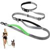 Tivray Guinzaglio per Cani a Mani Libere 2,5 m, Cintura Regolabile con Doppi Manici Imbottiti, Guinzaglio Elastica per Camminate, Jogging, Escursioni, per Cani Medi e Grandi, Grigio + Verde