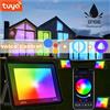 RnnTuu Proiettore RGB TUYA Smart APP WIFI Controllo vocale IP66 3000-6500K 30W 50W 100W AC220V per illuminazione esterna per feste in giardino Faretto