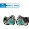 SHANLING Regal 2DD + 4BA + 2Planar Hybrid Driver Auricolari In-Ear IEM Audio ad alta risoluzione Auricolari musicali HIFI cablati per Audiophile