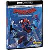 Eagle Pictures Spider-Man: Un Nuovo Universo - 4K (Bd 4K + Bd Hd)