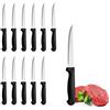 PALUPLUS Set 12 Coltelli da Carne a PUNTA in Acciaio Inox, Lunghezza 21 cm, Lama Seghettata e Temprata, Impugnatura Ergonomica, Coltelli da tavola per Bistecca e Pizza, Made Italy -997 - M