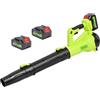 Nexalite Soffiatore a Batteria Potente 20V, 2×4.0Ah Batterie, 107MPH,243CFM Soffiatore Foglie Elettrico, 6 Velocità Regolabili, 22500 RPM, per Foglie, Giardino, Cortile,Garage, Vialetti, Balconi, Famiglie