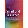 Springer Smart Grid Resilience: Extreme Weather, Cyber-Physical Security, and System Interdependency