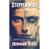 Meta Mad Books Steppenwolf (Newly Translated and Annotated): The Classic Novel of Inner Transformation That Helped Shape the 1960s
