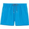 Hom Boxer Mare