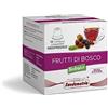 Coffisano 10 Capsule di Infuso ai Frutti di Bosco Bio compatibili con Macchine Caffè Nespresso, Tisana Tè Monodose Rilassante Biologico per Relax alle Erbe Naturale Officinali