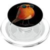 Robin Bird Outfit Bel cartone animato Robin con occhiali da sole Costume PopSockets PopGrip per MagSafe