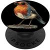 Robin Bird Outfit Pettirosso con gli occhiali con piuma e occhiali da sole PopSockets PopGrip Adesivo