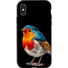 Robin Bird Outfit Custodia per iPhone X/XS Costume da pettirosso colorato per gli amanti degli uccelli e delle piume