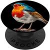 Robin Bird Outfit Costume da pettirosso colorato per gli amanti degli uccelli e delle piume PopSockets PopGrip Adesivo
