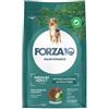 Generico Forza 10 Cane Medium Adult MONO gusto CERVO con PATATE, alimento completo monoproteico per cani adulti di taglia media, confezione da 12kg.