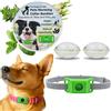 Generico Collare Antiparassitario Naturale per Cani contro Pulci e Zecche, Ciondolo Repellente con 2 Capsule, Compatibile Air Tag, Regolabile, Senza Contatto Diretto con la Pelle (1 PCS)