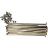 SkyjOy Raggi Bicicletta Raggi N. 8 Trolley 9, Triciclo Striscia Gialla(3.6x243.0mm)