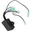AYZLGAA for Motore fuoribordo Yamaha 9.9 15hp a 2 Tempi 1996-2009 Modulo accensione Cdi Scatola di Ricambio 63v-85540-00-00 63v-85540-00 117-6301