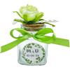 Ingrosso e Risparmio Set 12PZ Barattolini Portaconfetti con Fiore su Tappo di Sughero 12 Bustine Confetti 12 Adesivi Personalizzabili Nastro Fiocco Matrimonio Comunione Cresima (Verde)