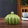 GDJSMIN Posacenere In Ceramica - Design Personalizzato A Forma Di Cactus Posacenere Da Esterno Di Grandi Dimensioni Con Coperchio A Prova Di Odore, Anti Cenere Volante Con Posacenere Con Coperchio Accessor