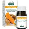 GIORGINI Vis Giorgini Ser-vis Curcuma Estratto Titolato 95% Curcuminoidi 60 Pastiglie