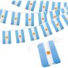 YAAVAAW 10 m, 30 bandiere 14 x 21 cm, striscione decorazioni per feste per eventi sportivi, bar, giardino, interni e (Argentina)