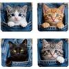Peacoblue Portamonete in pelle PU a pressione, Gattino In Una Tasca di Giovanni, Gattino in una Tasca di Giovanni