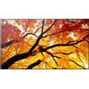 Sharp Monitor Pannello Piatto per Segnaletica Digitale 4K Ultra HD 108 cm Nero
