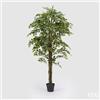 Enzo De Gasperi EDG Enzo De Gasperi Ficus Beniamin Chic Con Vaso H180