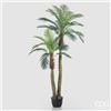Enzo De Gasperi EDG Enzo De Gasperi Pianta Palma Areca X2 con Vaso H250 cm (30FG)