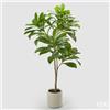 Enzo De Gasperi EDG Enzo De Gasperi Pianta Artificiale Elaeocarpus X2 con Vaso H175 cm