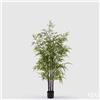 Enzo De Gasperi EDG Enzo De Gasperi Pianta Bamboo con vaso H 150 cm Verde Scuro