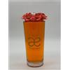 CHIARAELA PROFUMATORE 500 ML CON FIORI CORALLO 6X20