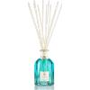 Dr Vranjes Acqua BS Fragranza Ambiente con bamboo 100 ml